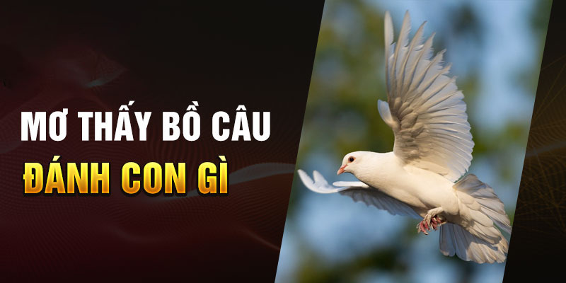 Mơ thấy bồ câu đánh con gì để thắng lớn