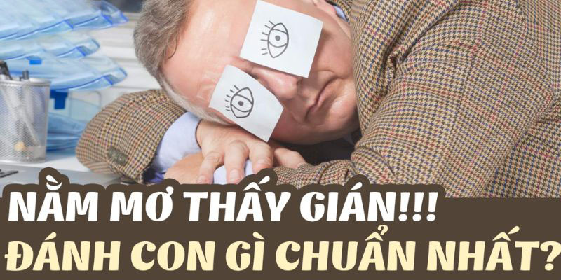 Tổng hợp các con số liên quan đến giấc mơ thấy gián