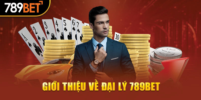 Tổng quan thông tin về đại lý cá cược 789bet