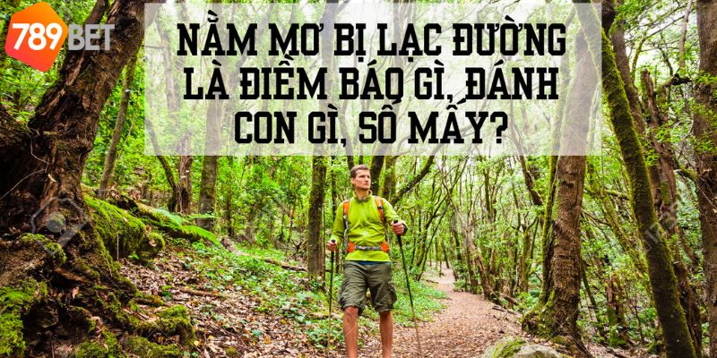 Nằm mơ đi lạc đường liên quan đến con số may mắn nào?