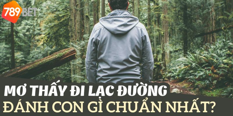 Nằm mơ đi lạc đường liên quan đến con số may mắn nào?