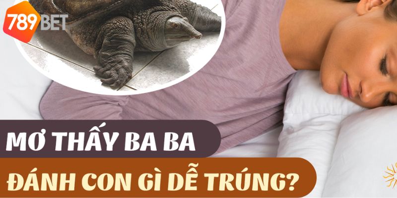 Phân tích các con số liên quan đến giấc mơ thấy ba ba