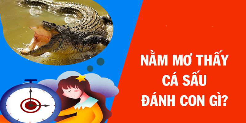 Mơ thấy bản thân bị cá sấu cắn vào một bộ phận