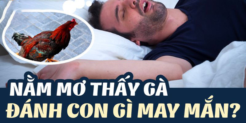 Nằm mơ thấy gà các chuyên gia khuyên nên đánh con gì?