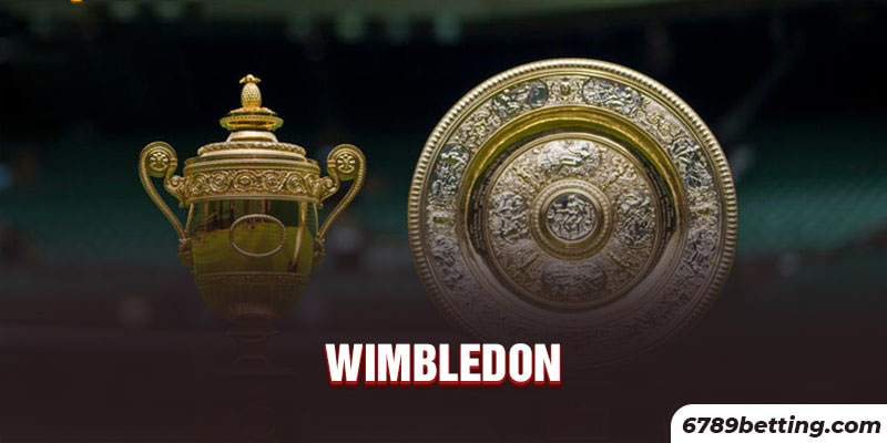 Wimbledon là một trong những giải đấu quần vợt hàng đầu thế giới hiện nay